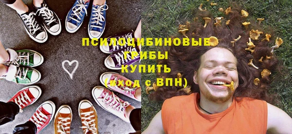 гашик Алексеевка