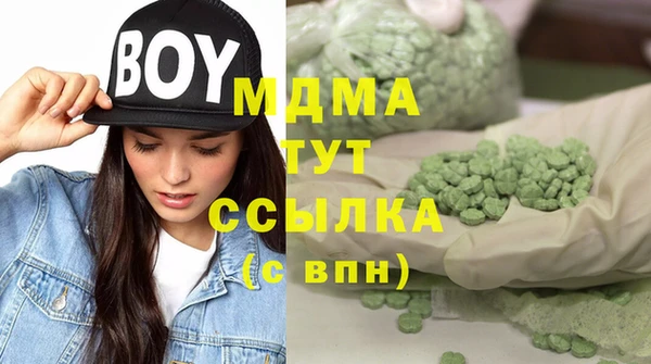 гашик Алексеевка